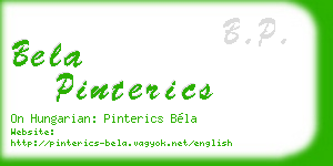 bela pinterics business card